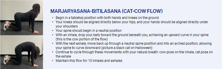 Cat-cow flow