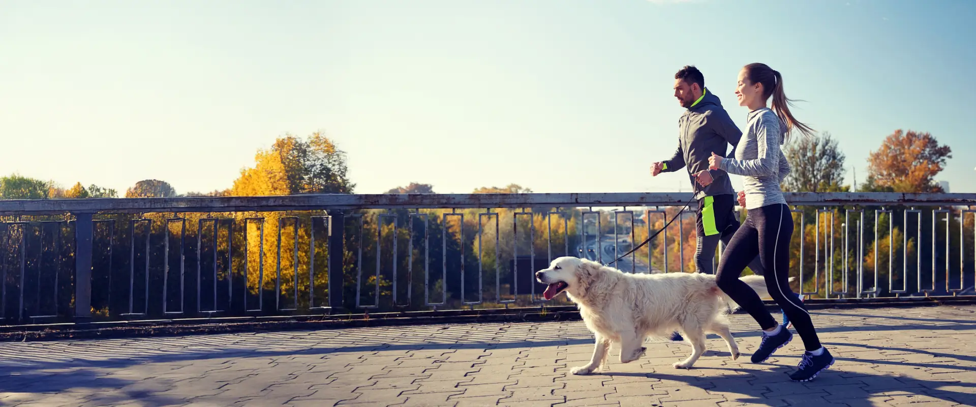 Chiropractic Massachusetts